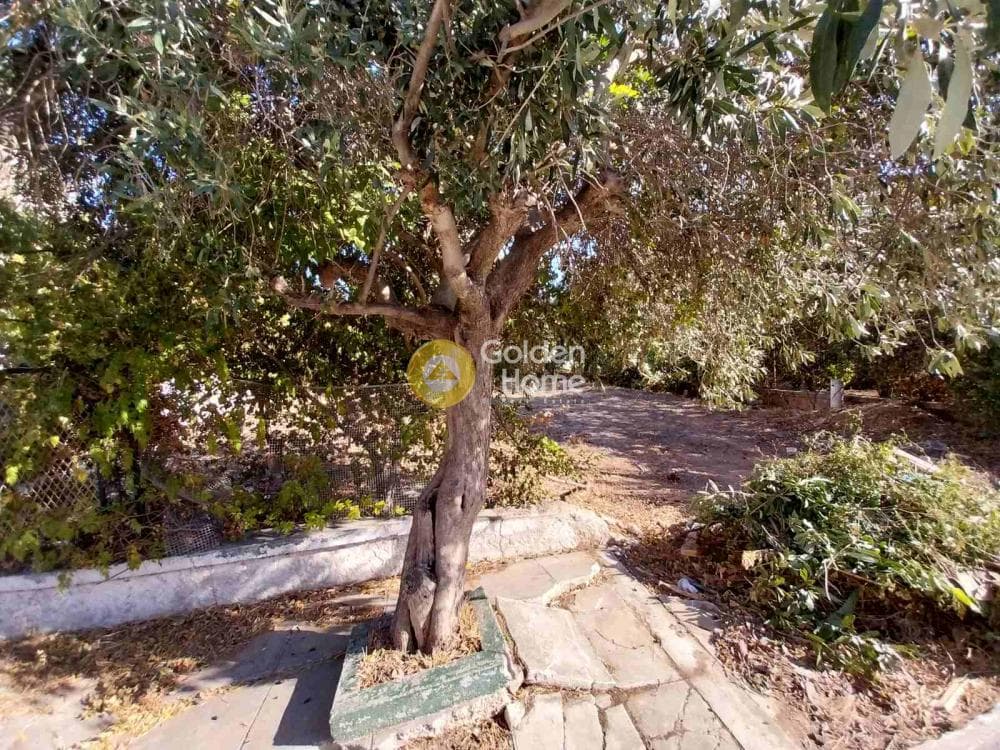 Οικόπεδο στην Αδάμες (Οικισμός Πελοποννησίων), Κηφισιά — Φωτογραφία 7 από 11