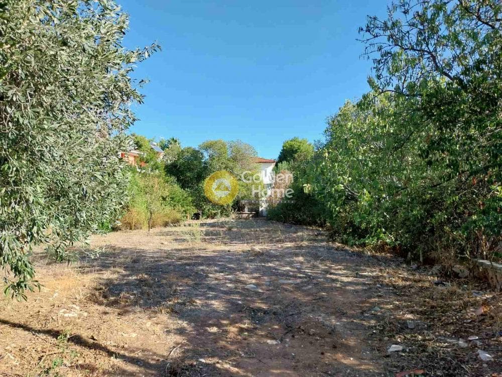 Οικόπεδο στην Αδάμες (Οικισμός Πελοποννησίων), Κηφισιά — Φωτογραφία 6 από 11