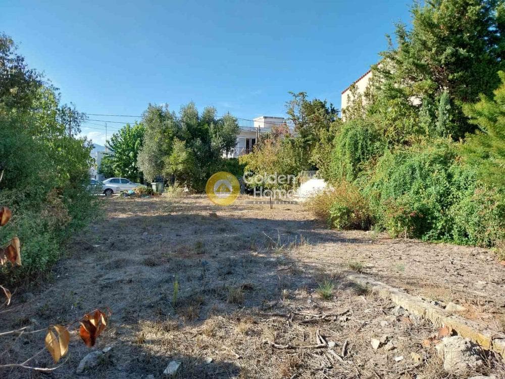 Οικόπεδο στην Αδάμες (Οικισμός Πελοποννησίων), Κηφισιά — Φωτογραφία 9 από 11