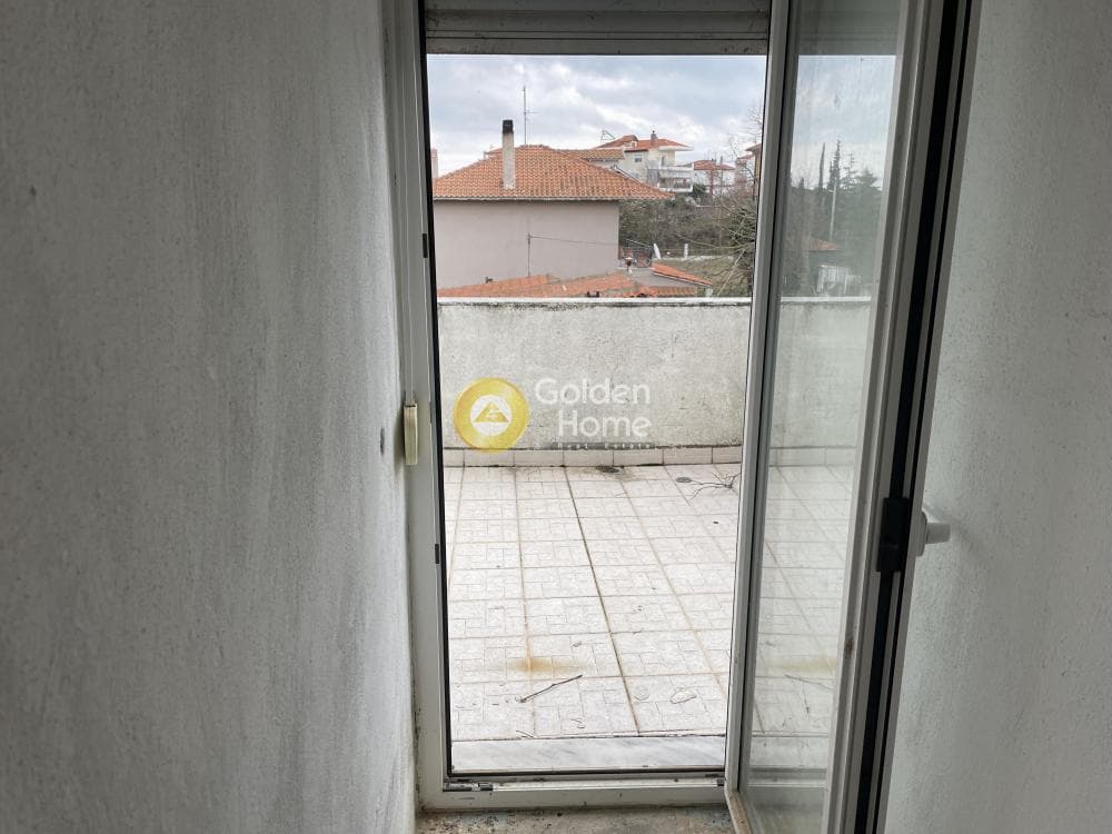 Μονοκατοικία στην Φίλυρο, Πεύκα — Φωτογραφία 16 από 39