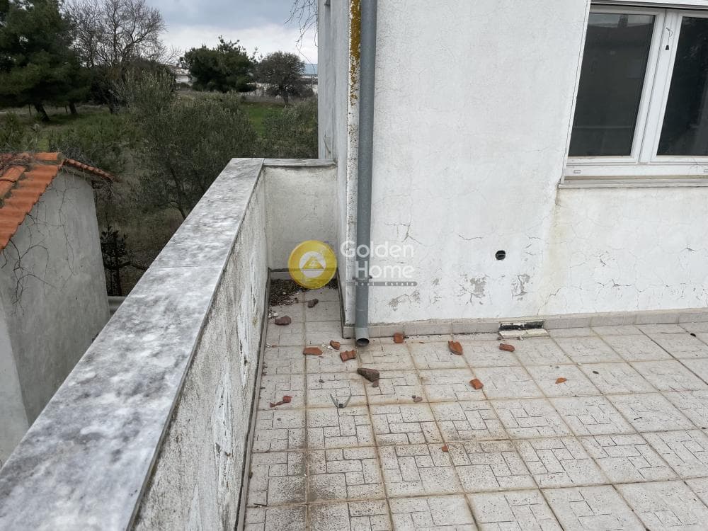 Μονοκατοικία στην Φίλυρο, Πεύκα — Φωτογραφία 18 από 39
