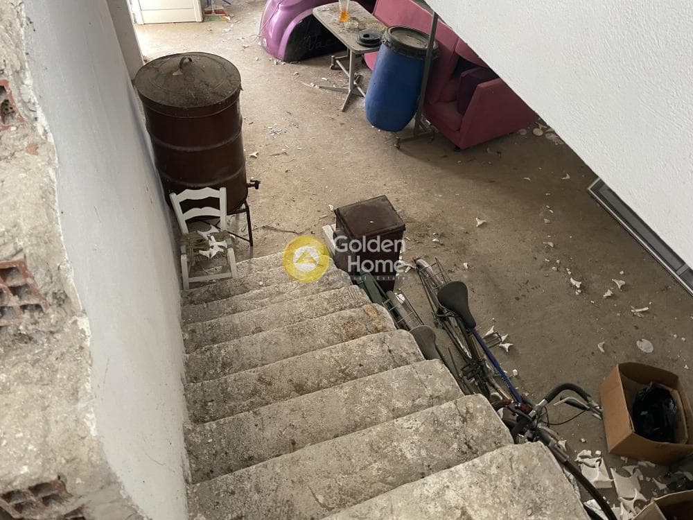 Μονοκατοικία στην Φίλυρο, Πεύκα — Φωτογραφία 5 από 39