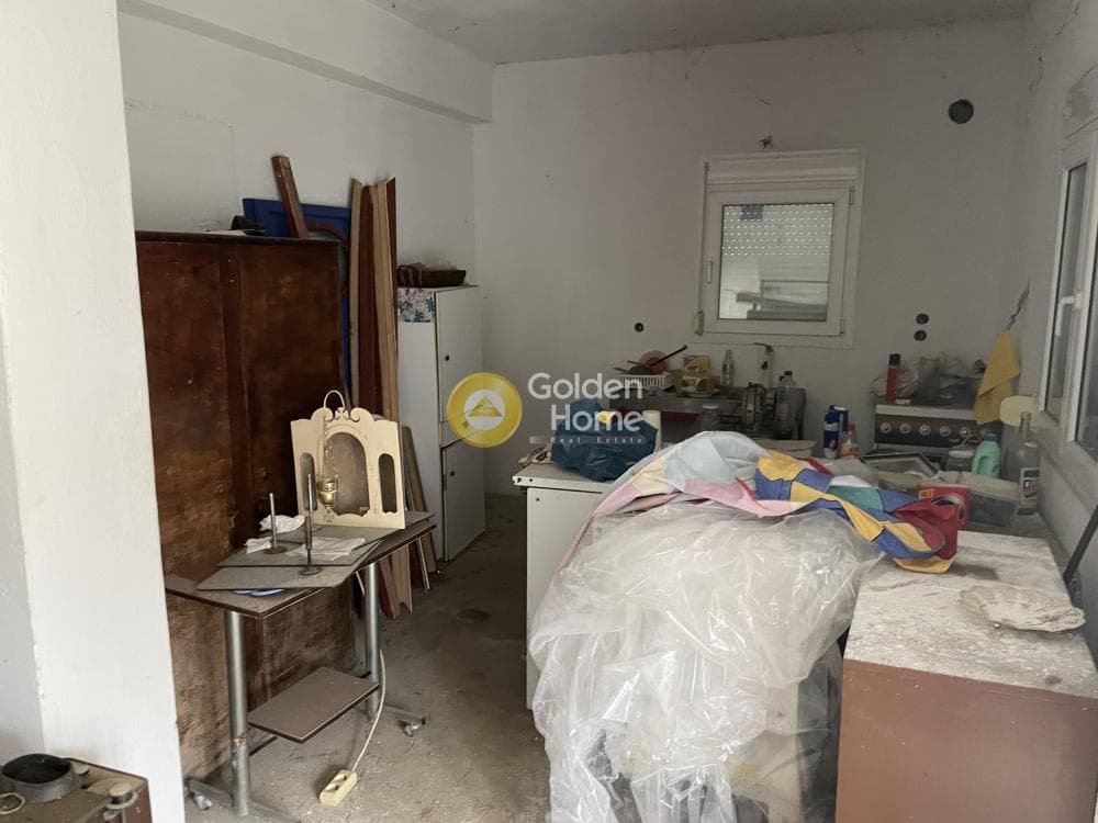 Μονοκατοικία στην Φίλυρο, Πεύκα — Φωτογραφία 4 από 39