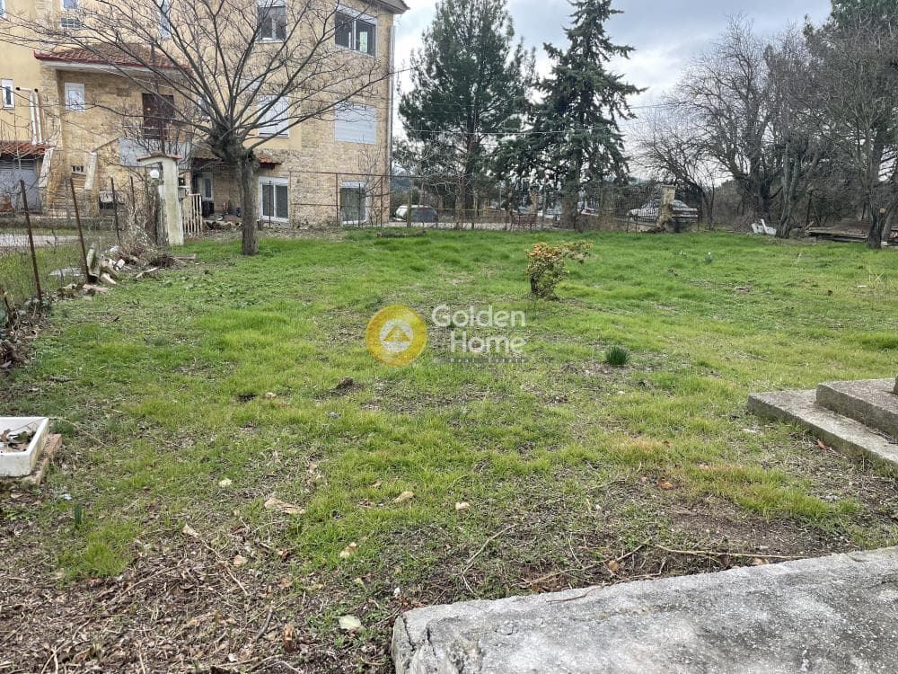 Μονοκατοικία στην Φίλυρο, Πεύκα — Φωτογραφία 36 από 39