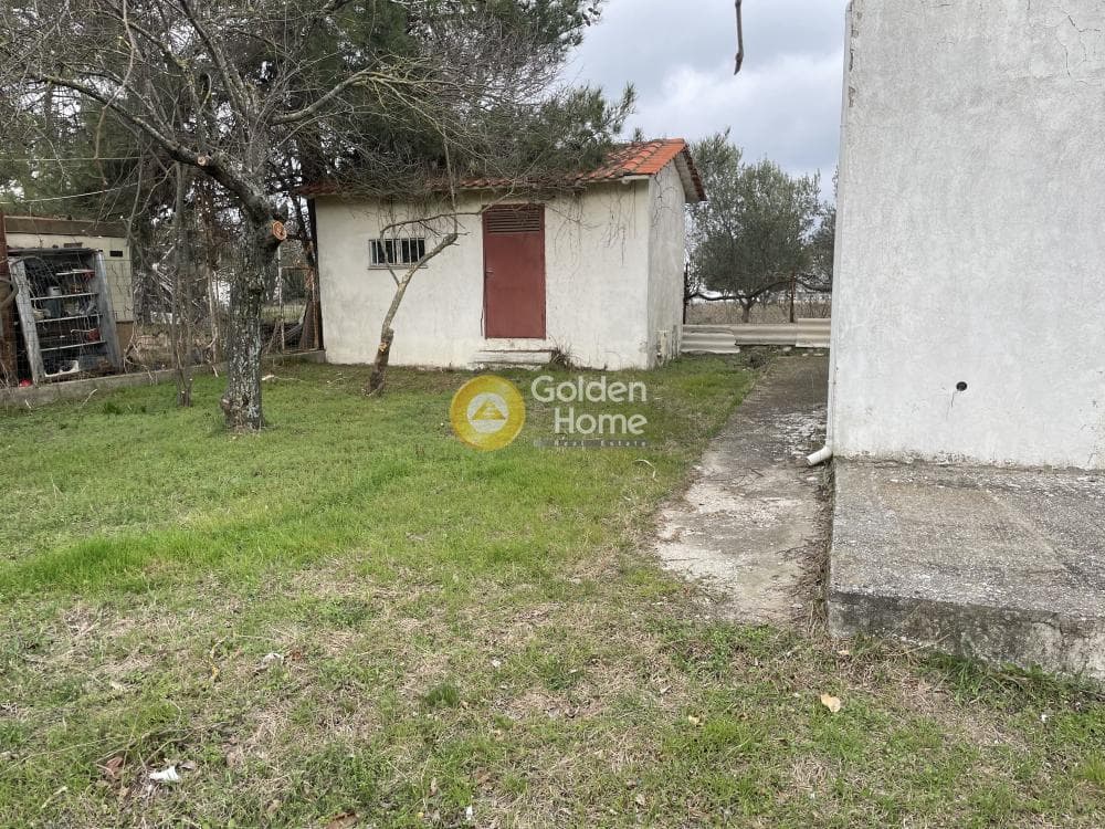 Μονοκατοικία στην Φίλυρο, Πεύκα — Φωτογραφία 33 από 39