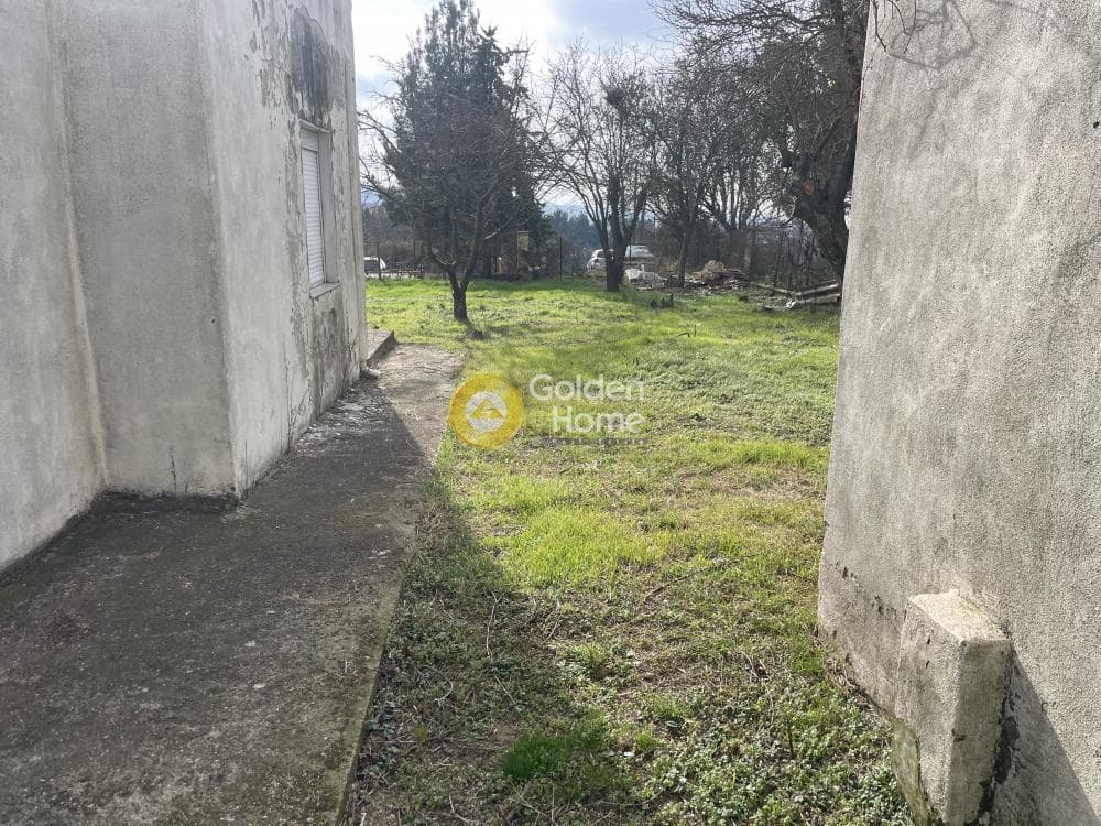 Μονοκατοικία στην Φίλυρο, Πεύκα — Φωτογραφία 34 από 39