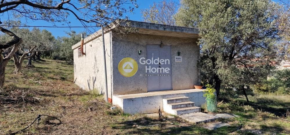 Parcel in Center, Markopoulo — Photo 1 of 5