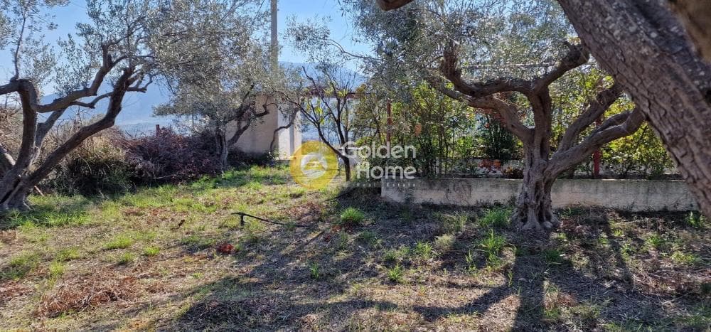 Parcel in Center, Markopoulo — Photo 5 of 5