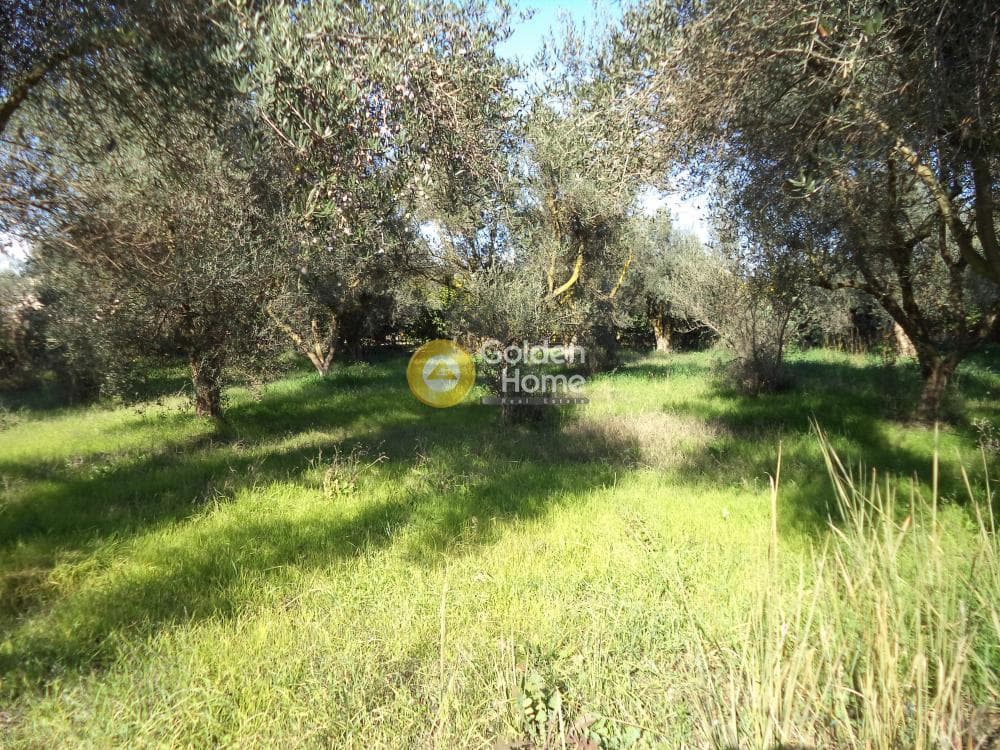 House in Rizomilos, Diakopto — Photo 12 of 18