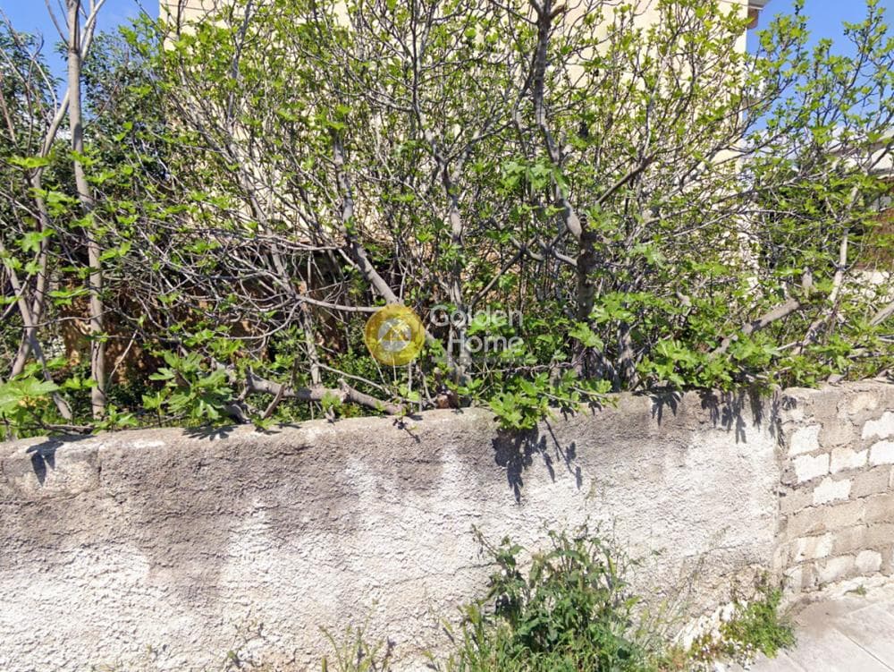 Building Plot in Megala Sxoinia A, Acharnes — Photo 1 of 4