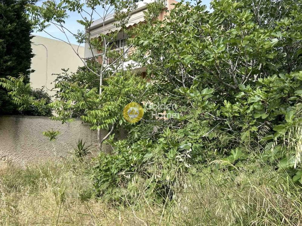 Building Plot in Megala Sxoinia A, Acharnes — Photo 4 of 4