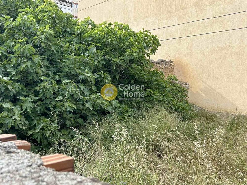 Οικόπεδο στην Πυργούθι, Αχαρνές — Φωτογραφία 2 από 4