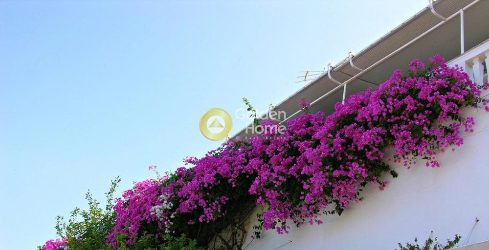 House in Moni Agias Efpraxias, Hydra — Photo 26 of 30