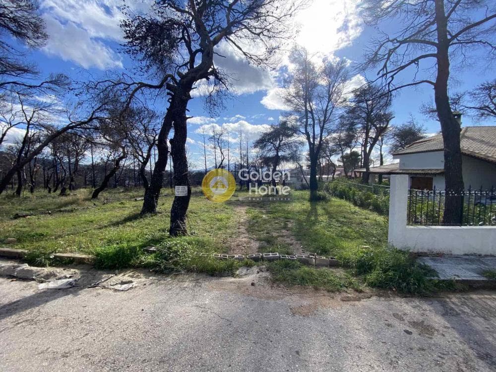 Οικόπεδο στην Μεγάλα Σχοινία Α, Αχαρνές — Φωτογραφία 2 από 4