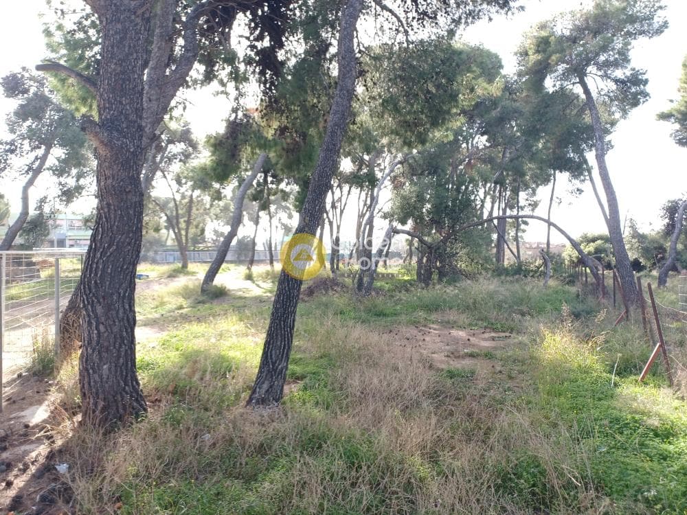 Αγροτεμάχιο στην Όριο Βριλησσίων, Μαρούσι — Φωτογραφία 1 από 2