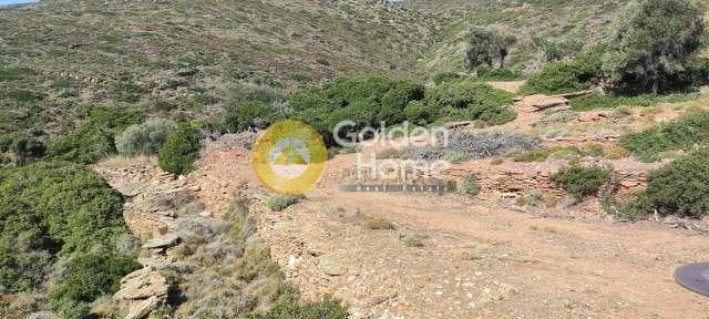 Αγροτεμάχιο στην Μπατσί, Άνδρος — Φωτογραφία 6 από 28