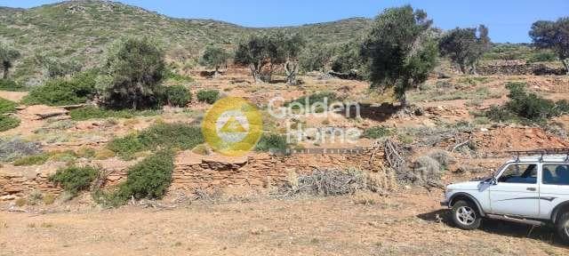 Αγροτεμάχιο στην Μπατσί, Άνδρος — Φωτογραφία 4 από 28