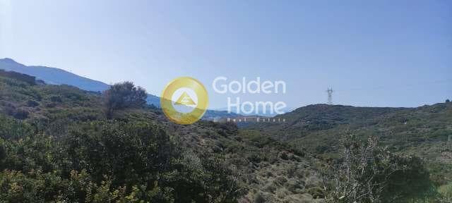 Αγροτεμάχιο στην Μπατσί, Άνδρος — Φωτογραφία 10 από 28
