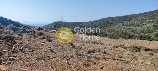 Αγροτεμάχιο στην Μπατσί, Άνδρος — Φωτογραφία 7 από 28