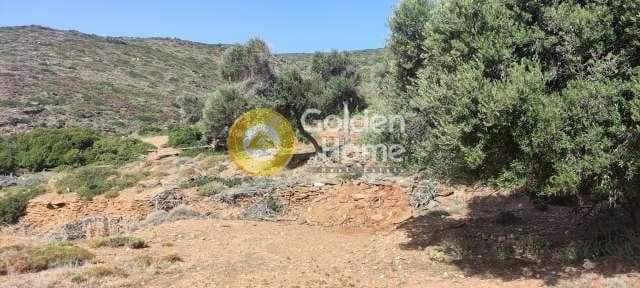 Αγροτεμάχιο στην Μπατσί, Άνδρος — Φωτογραφία 14 από 28