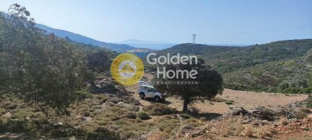 Αγροτεμάχιο στην Μπατσί, Άνδρος — Φωτογραφία 19 από 28