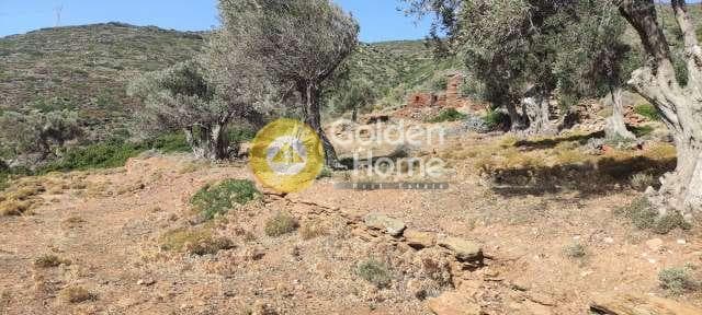 Αγροτεμάχιο στην Μπατσί, Άνδρος — Φωτογραφία 21 από 28