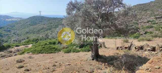 Αγροτεμάχιο στην Μπατσί, Άνδρος — Φωτογραφία 27 από 28