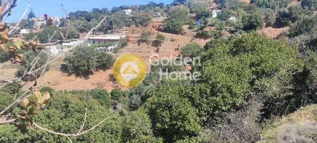 Αγροτεμάχιο στην Λιβάδια, Άνδρος — Φωτογραφία 1 από 15