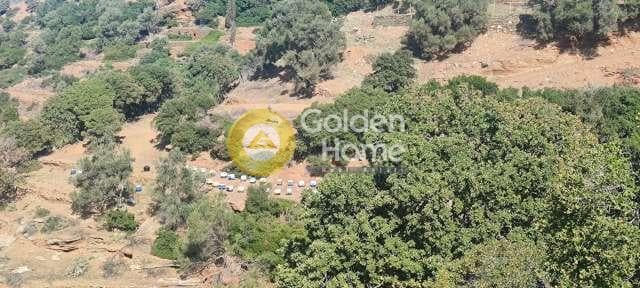 Αγροτεμάχιο στην Λιβάδια, Άνδρος — Φωτογραφία 4 από 15