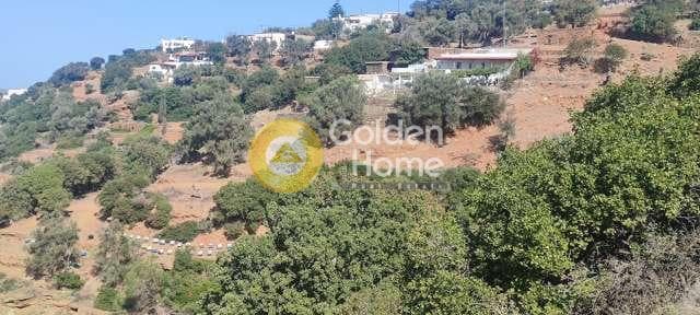 Αγροτεμάχιο στην Λιβάδια, Άνδρος — Φωτογραφία 6 από 15
