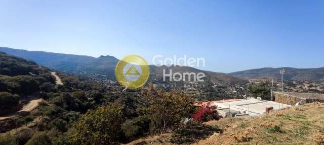 Αγροτεμάχιο στην Λιβάδια, Άνδρος — Φωτογραφία 11 από 15