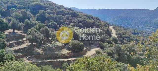Αγροτεμάχιο στην Χώρα, Άνδρος — Φωτογραφία 4 από 30