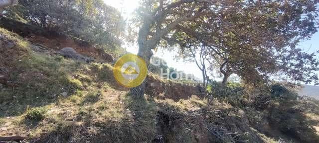 Αγροτεμάχιο στην Χώρα, Άνδρος — Φωτογραφία 2 από 30