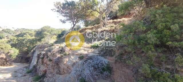 Αγροτεμάχιο στην Χώρα, Άνδρος — Φωτογραφία 3 από 30
