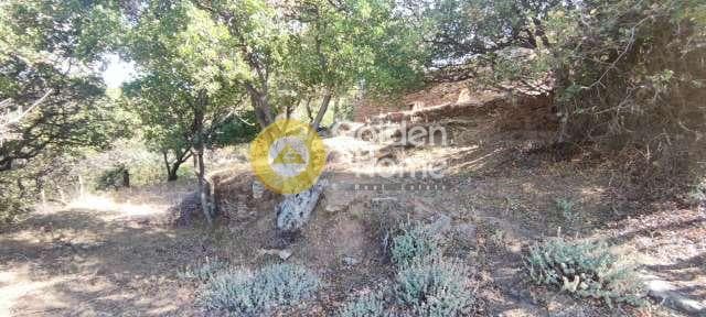 Αγροτεμάχιο στην Χώρα, Άνδρος — Φωτογραφία 12 από 30