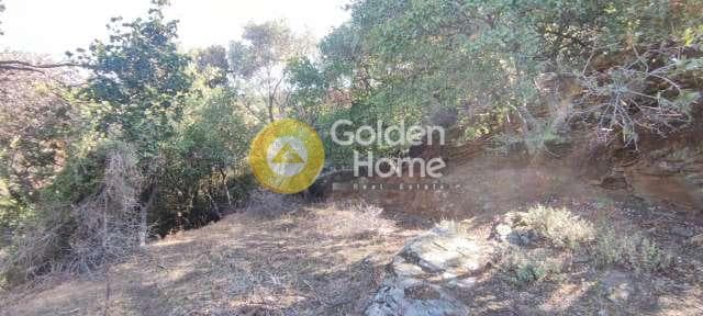 Αγροτεμάχιο στην Χώρα, Άνδρος — Φωτογραφία 11 από 30