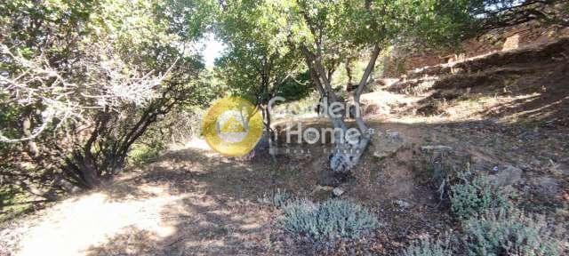 Αγροτεμάχιο στην Χώρα, Άνδρος — Φωτογραφία 9 από 30
