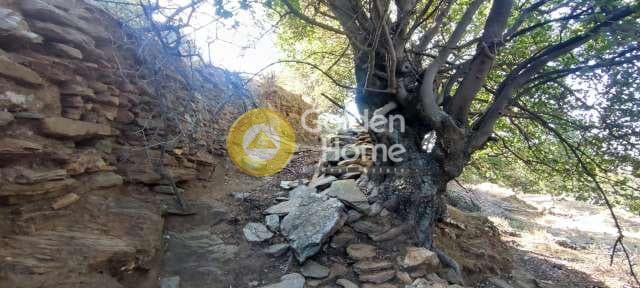 Αγροτεμάχιο στην Χώρα, Άνδρος — Φωτογραφία 7 από 30