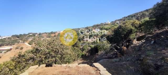 Αγροτεμάχιο στην Χώρα, Άνδρος — Φωτογραφία 15 από 30