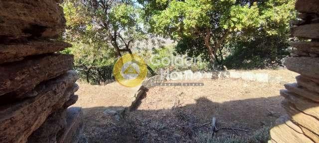 Αγροτεμάχιο στην Χώρα, Άνδρος — Φωτογραφία 26 από 30