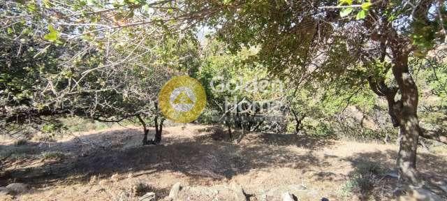 Αγροτεμάχιο στην Χώρα, Άνδρος — Φωτογραφία 28 από 30