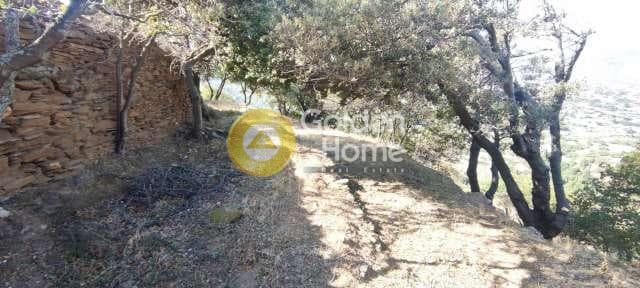 Αγροτεμάχιο στην Χώρα, Άνδρος — Φωτογραφία 27 από 30