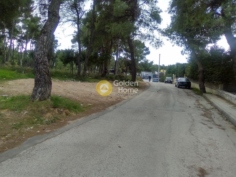 Building Plot in Agioi Theodoroi, Anoixi