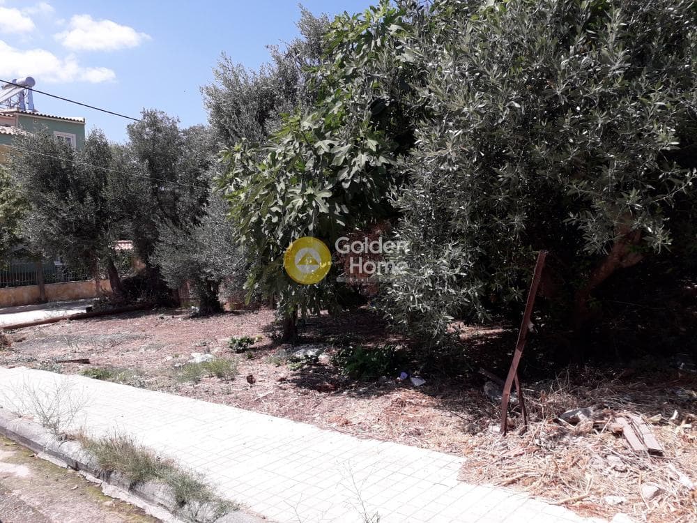 Building Plot in Fouresi, Glika Nera — Photo 1 of 2