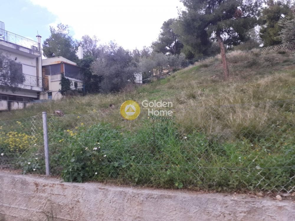 Parcel in Centre, Glika Nera — Photo 2 of 5