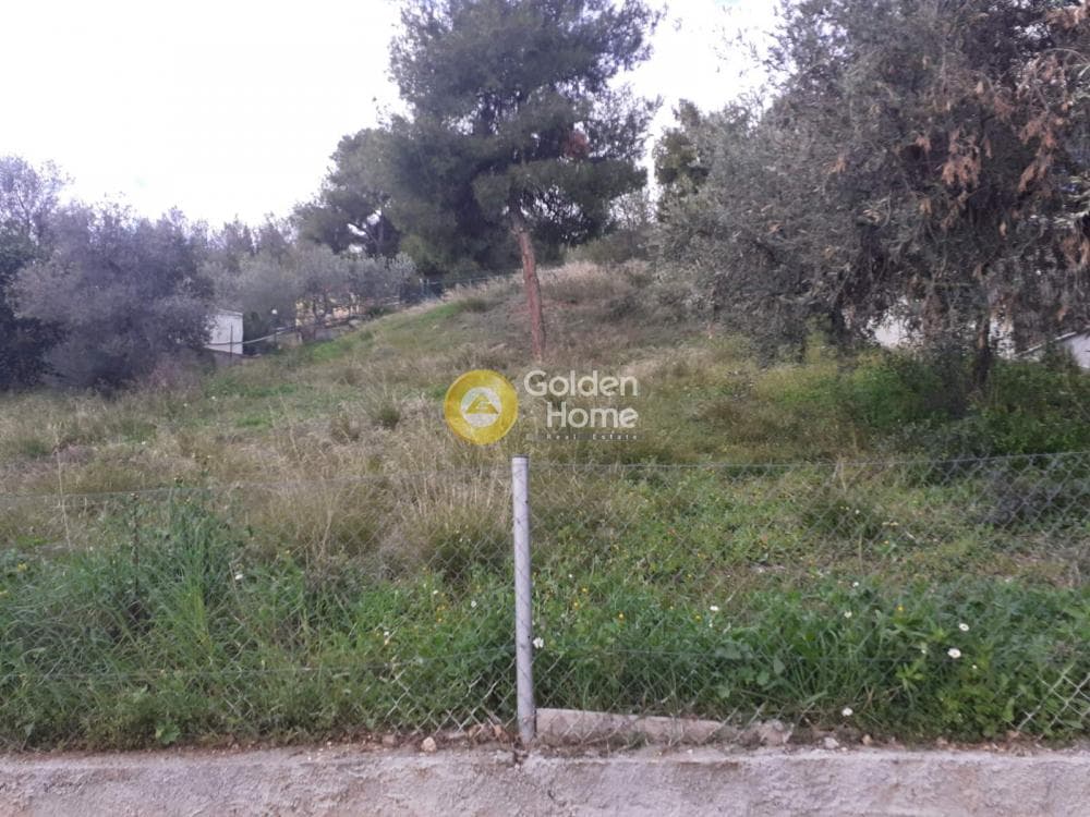 Parcel in Centre, Glika Nera — Photo 3 of 5