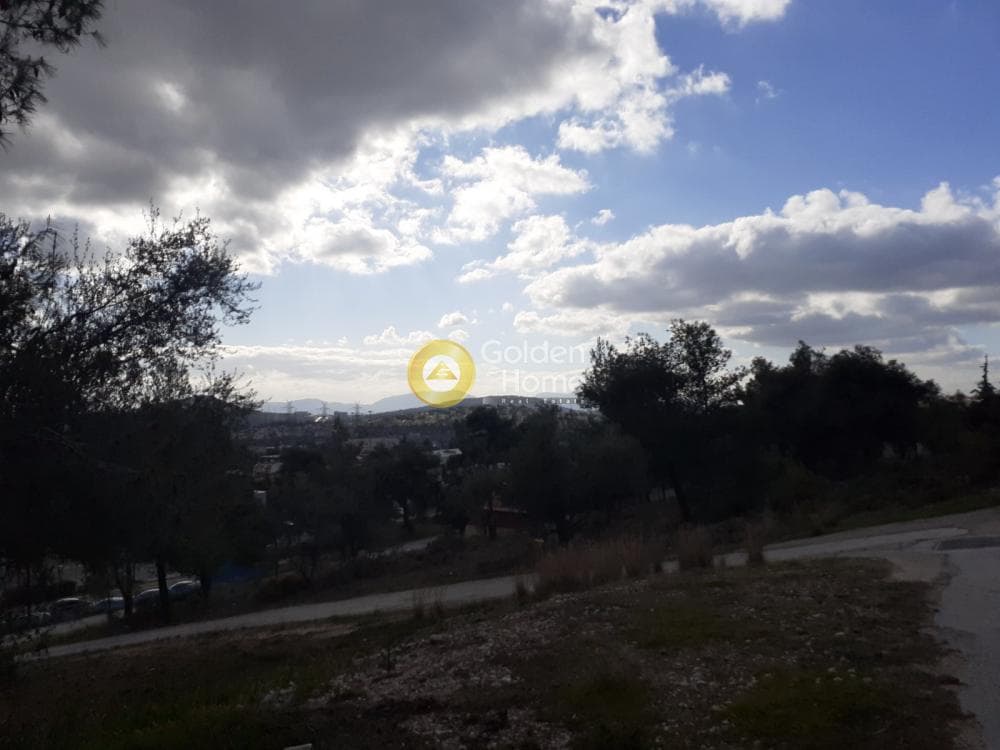 Parcel in Centre, Glika Nera — Photo 1 of 5