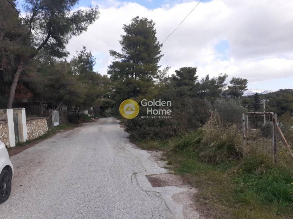Parcel in Centre, Glika Nera — Photo 4 of 5