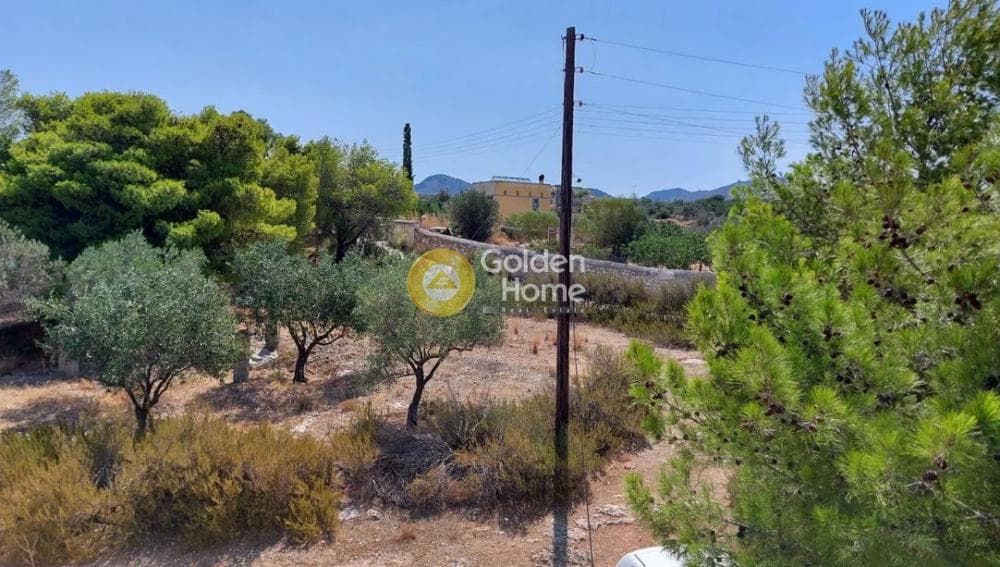 Building Plot in Kipseli, Aegina — Photo 4 of 8