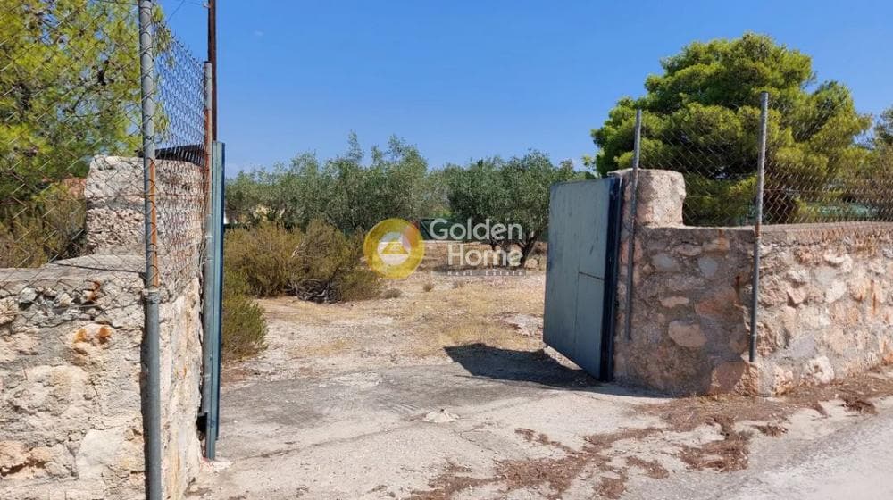 Building Plot in Kipseli, Aegina — Photo 7 of 8